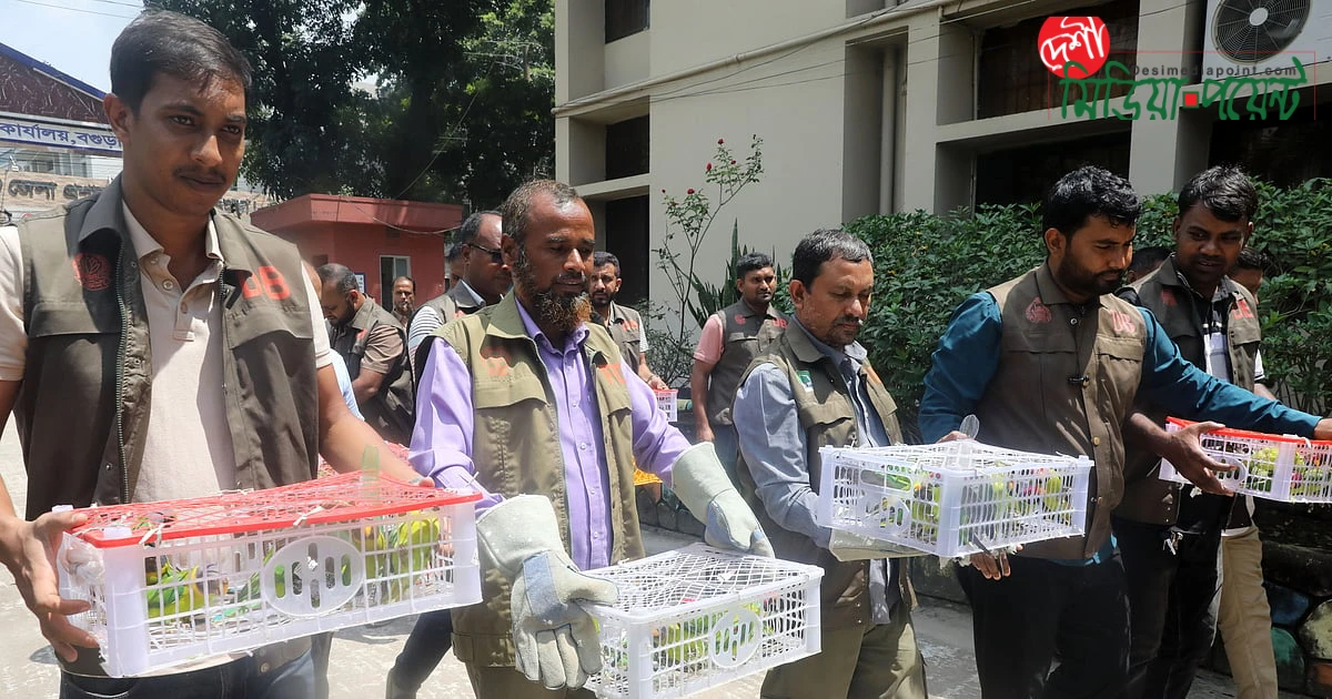 পাচার রুখে উদ্ধার, তিন প্রজাতির ১০৩টি টিয়া পাখি মুক্ত আকাশে অবমুক্ত