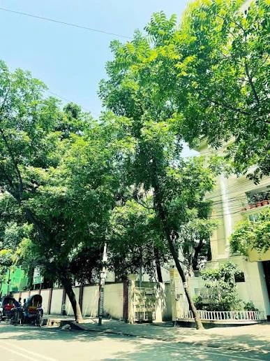 রাজধানীতে দীর্ঘ প্রতীক্ষার অবসান: মেঘমুক্ত আকাশে সূর্যের ঝলমলে উপস্থিতি; উষ্ণতা বৃদ্ধির পূর্বাভাস